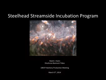 Steelhead Streamside Incubation Program  David J. Evans  Shoshone-Bannock Tribes  LSRCP Hatchery
