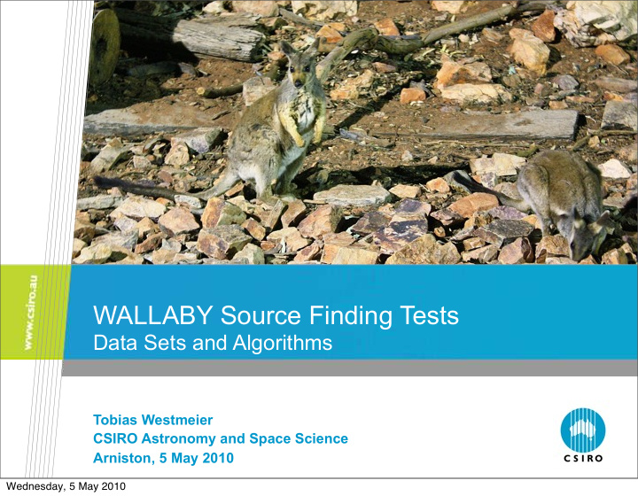 wallaby source finding tests