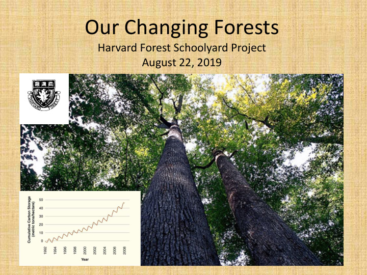 our changing forests