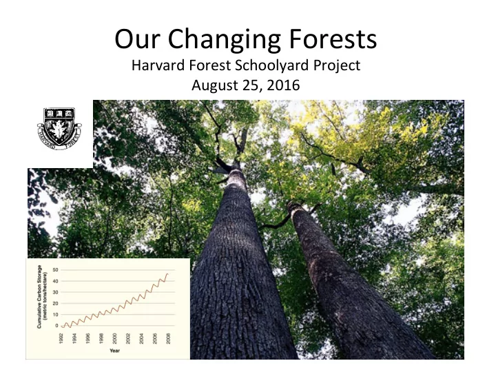 1 how do forests change 2 what are the implicagons of