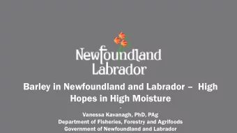 Barley in Newfoundland and Labrador  High  Hopes in High Moisture  -  Vanessa Kavanagh, PhD, PAg