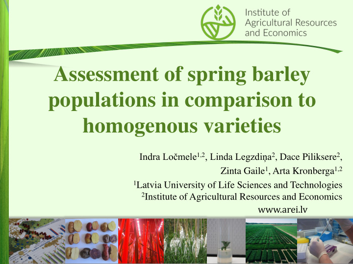 assessment of spring barley