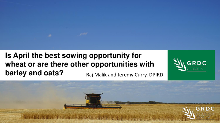 wheat or are there other opportunities with