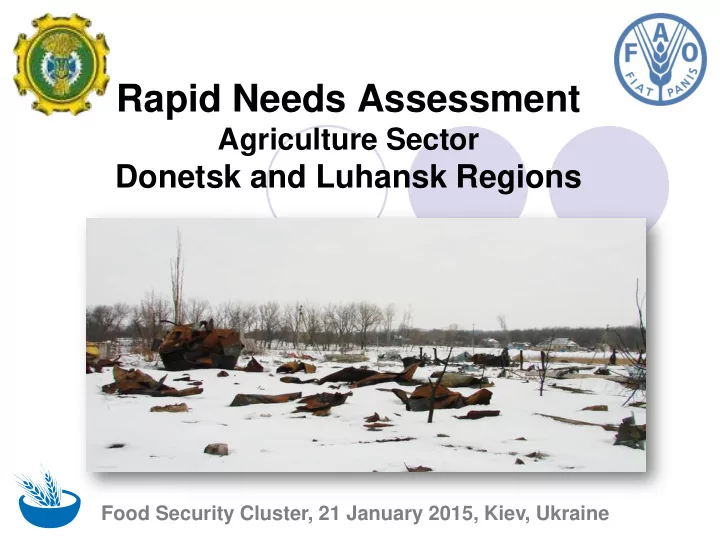 rapid needs assessment