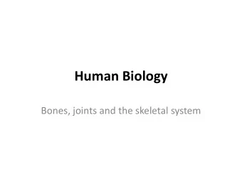 Human Biology  Bones, joints and the skeletal system  Classification and functions of skeletal