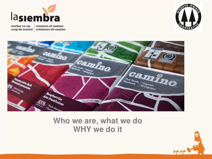 who we are what we do
