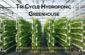 RI C C YCLE YCLE H H YDROPONIC YDROPONIC G REENHOUSE  REENHOUSE  A Market Analysis and Sustainable