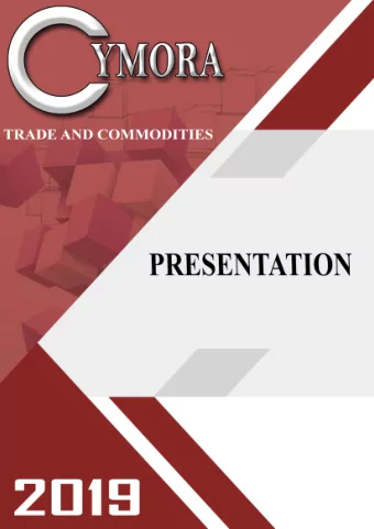 INDEX  Inspection  Our services  Our procedures both as the supplier and trade