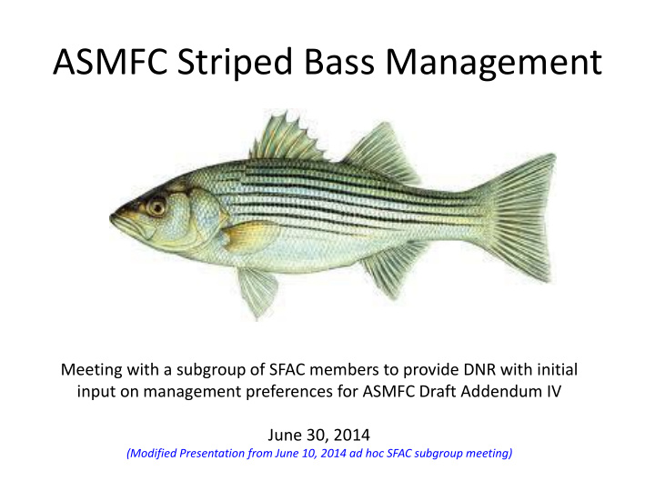 asmfc striped bass management