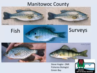 Surveys  Fish  Steve Hogler- DNR  Fisheries Biologist  Green Bay  Lake Survey Protocols  All lakes