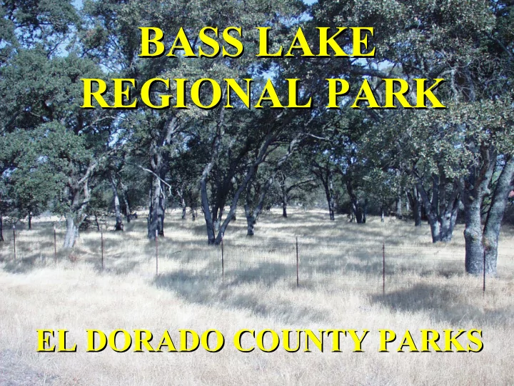 bass lake bass lake regional park regional park