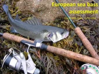 European sea bass  assessment  Lisa Readdy, Cefas. 15/03/2016 - What do we know about Bass -