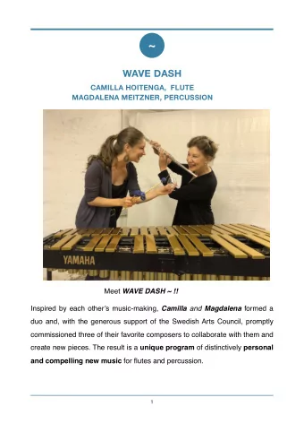 ~  WAVE DASH CAMILLA HOITENGA,  FLUTE  MAGDALENA MEITZNER, PERCUSSION Meet WAVE DASH ~ !! Inspired