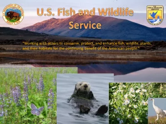Working with others to conserve, protect, and enhance fish, wildlife, plants, and their habitats