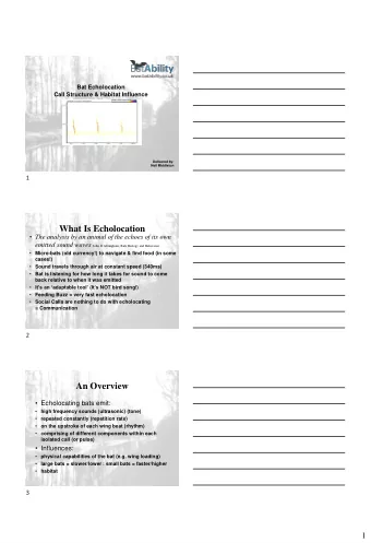 What Is Echolocation  The analysis by an animal of the echoes of its own emitted sound waves