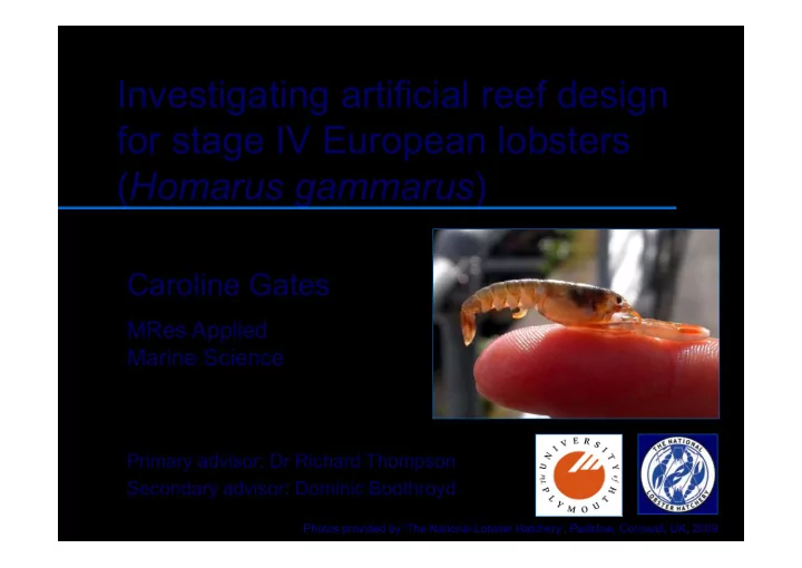 investigating artificial reef design for stage iv