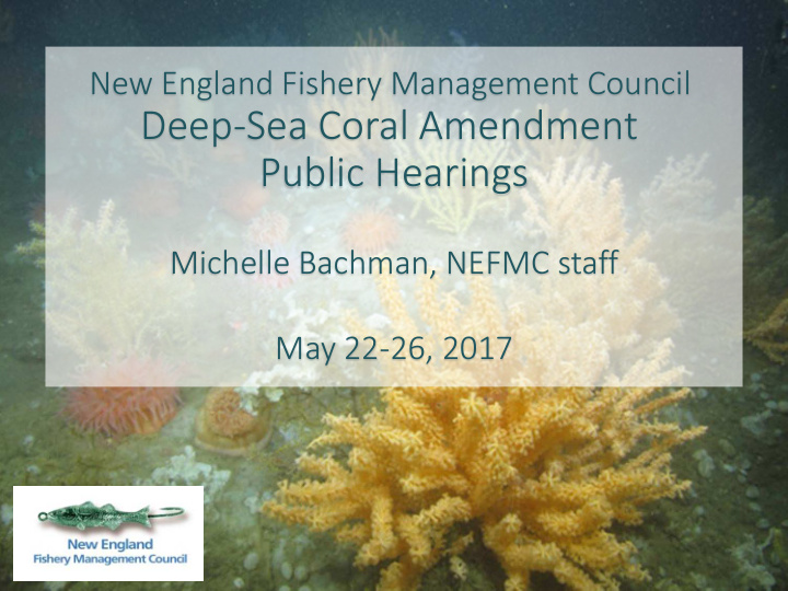 deep sea coral amendment public hearings