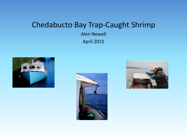 chedabucto bay trap caught shrimp