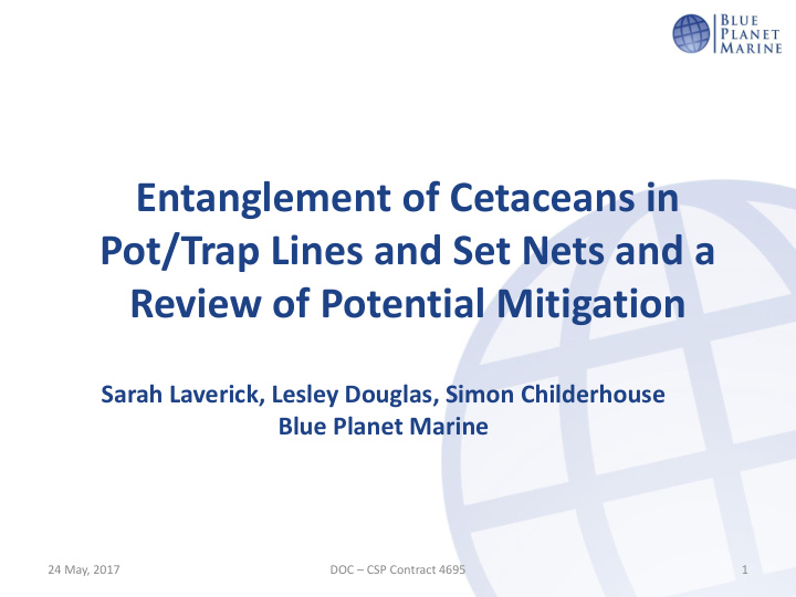 entanglement of cetaceans in pot trap lines and set nets