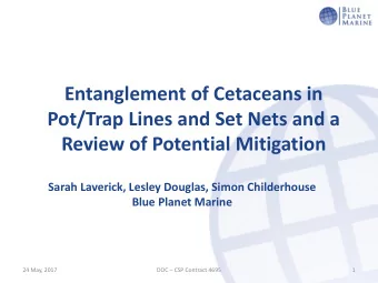 Entanglement of Cetaceans in  Pot/Trap Lines and Set Nets and a  Review of Potential Mitigation