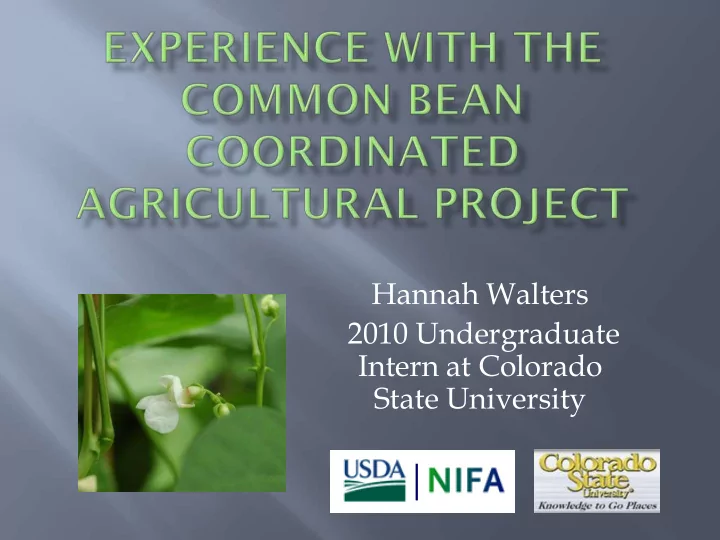 hannah walters 2010 undergraduate