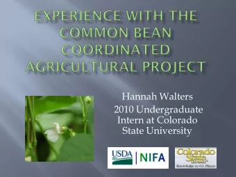 Hannah Walters  2010 Undergraduate  Intern at Colorado  State University Two Undergraduates: Hannah