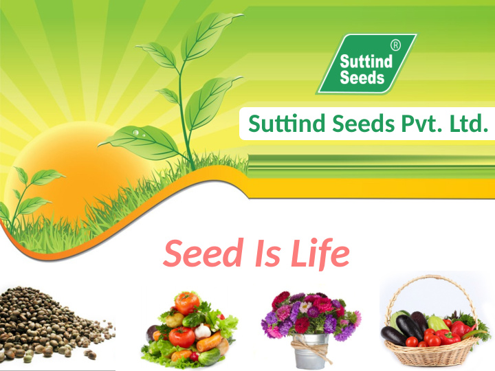 seed is life about us