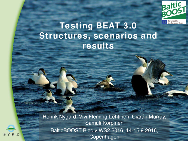 testing beat 3 0 structures scenarios and results