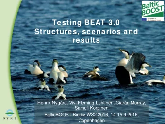 Testing BEAT 3.0  Structures, scenarios and  results  Henrik Nygrd, Vivi Fleming-Lehtinen,