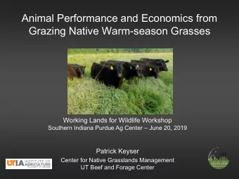 Animal Performance and Economics from  Grazing Native Warm-season Grasses  Working Lands for