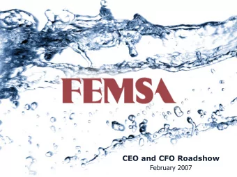 CEO and CFO Roadshow  February 2007  Safe Harbor Statement  During this presentation management may