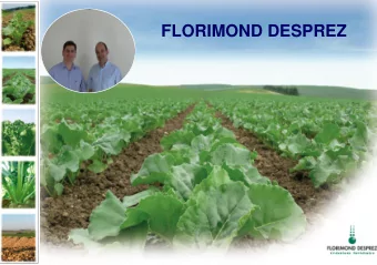 FLORIMOND DESPREZ  FLORIMOND DESPREZ  Florimond Desprez is an independent company which was set up