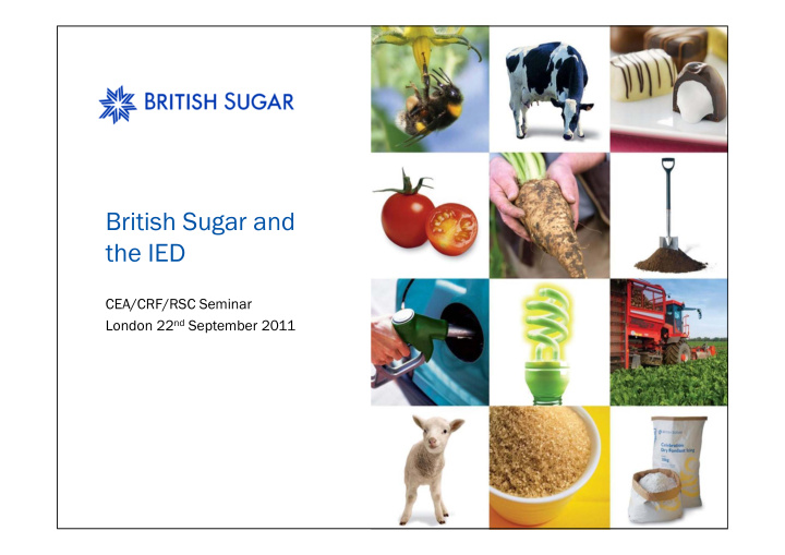 british sugar and the ied