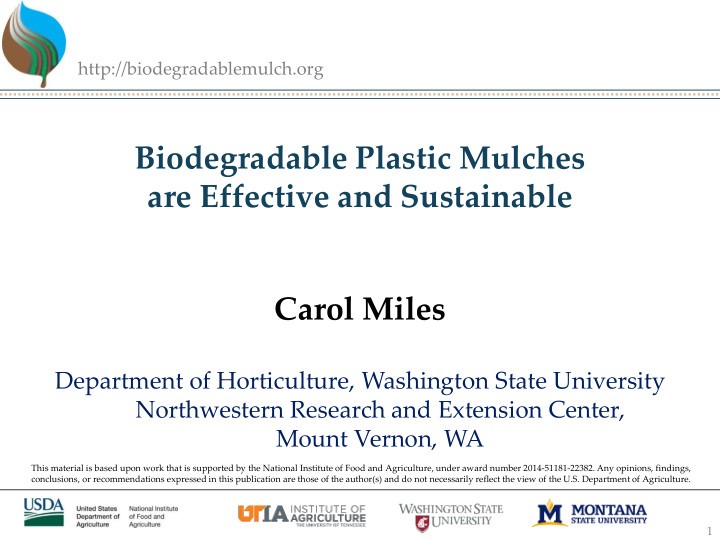biodegradable plastic mulches are effective and