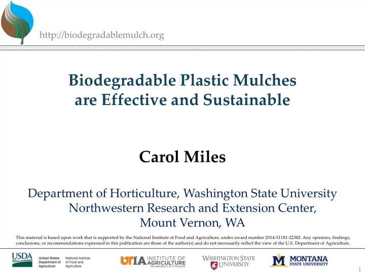 biodegradable plastic mulches are effective and