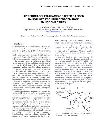 HYPERBRANCHED ARAMID-GRAFTED CARBON  NANOTUBES FOR HIGH PERFORMANCE  NANOCOMPOSITES  S. R.
