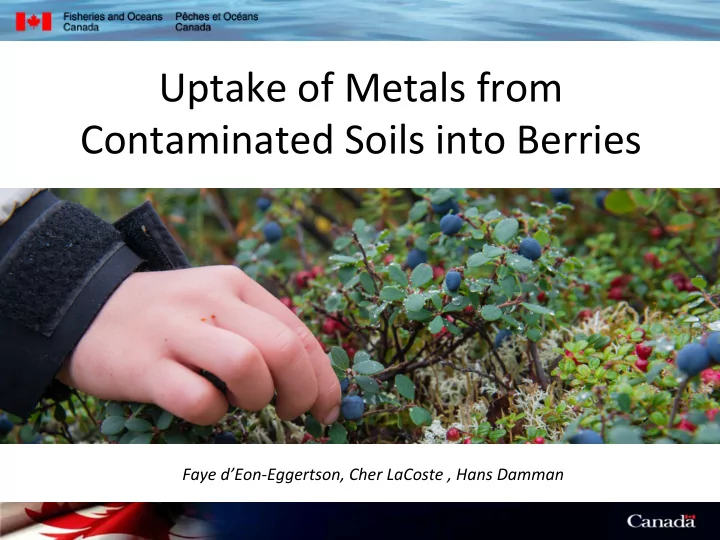 uptake of metals from