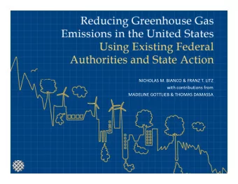 NICHOLAS M BIANCO &amp; FRANZ T LITZ NICHOLAS M. BIANCO &amp; FRANZ T. LITZ with contributions from