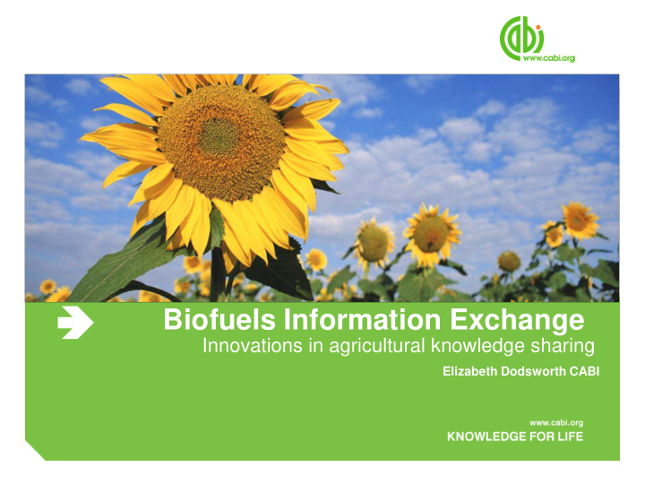 biofuels information exchange