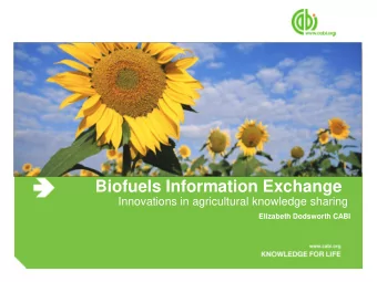 Biofuels Information Exchange  Innovations in agricultural knowledge sharing  Elizabeth Dodsworth