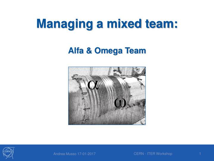 managing a mixed team