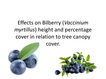 Effects on Bilberry ( Vaccinium myrtillus ) height and percentage  cover in relation to tree canopy