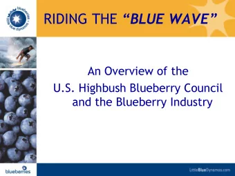 RIDING THE BLUE WAVE  An Overview of the  U.S. Highbush Blueberry Council  and the Blueberry