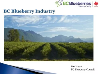 Bar Hayre  BC Blueberry Council  Celebrating 25 yeas  Approximately 28,500 acres