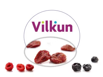 Chile and in the  southern hemisphere  Over 1.700 own  cultivated hectares  between all the