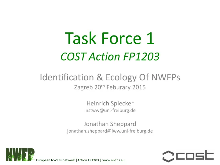 task force 1