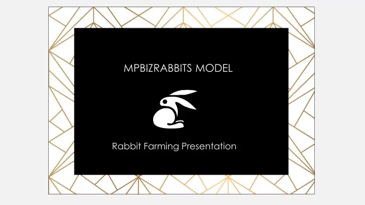 mpbizrabbits model