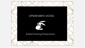 MPBIZRABBITS MODEL  Rabbit Farming Presentation  WHO WE ARE MPBizRabbits Model Pty Ltd is an