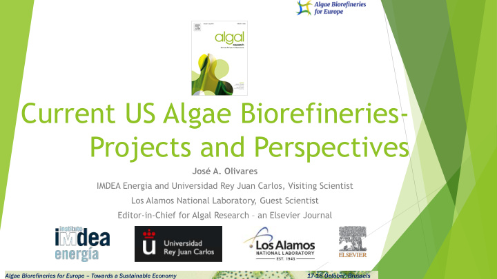 current us algae biorefineries projects and perspectives