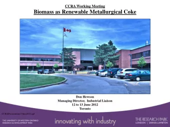 Biomass as Renewable Metallurgical Coke  Don Hewson  Managing Director,  Industrial Liaison  12 to